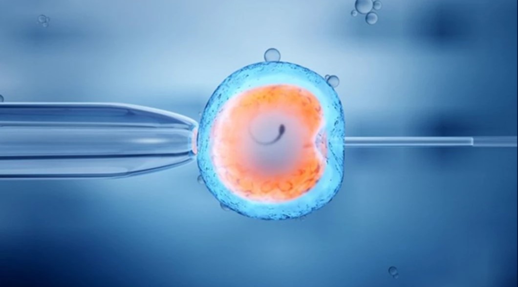 UK NEWS3 Selecting A High Level Disinfection Method For IVF Applications